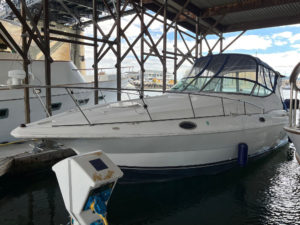 Cruisers Yachts 3075 Rogue For Sale by Waterline Boats / Boatshed Tacoma