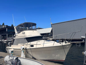 Bayliner 3270 For Sale by Waterline Boats / Boatshed Seattle